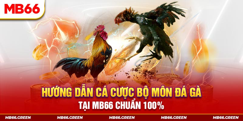 kuwin2 xổ số bình định