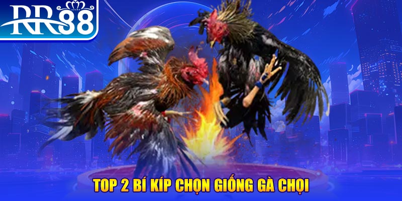kuwin2 đăng nhập roulette dễ thắng