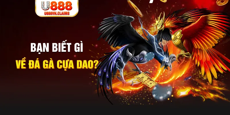 kuwin2 xổ số kiến thiết