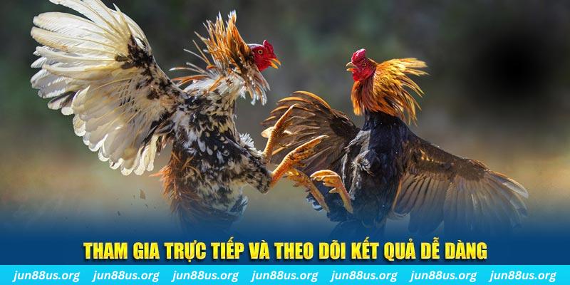 kuwin2 đá gà trực tiếp bình luận viên