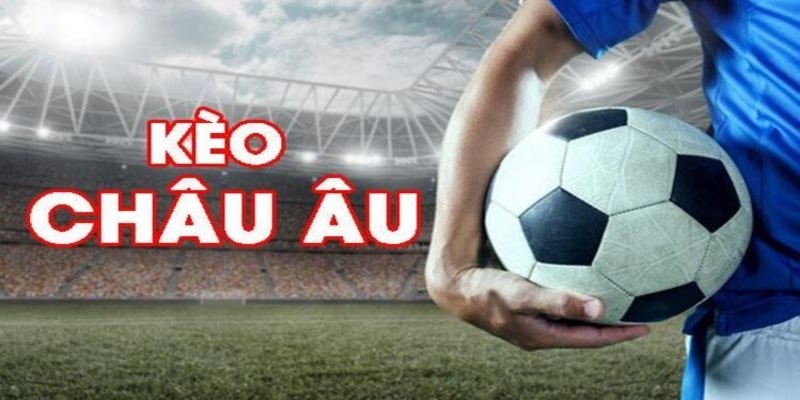 kuwin2 đá gà trực tiếp casino