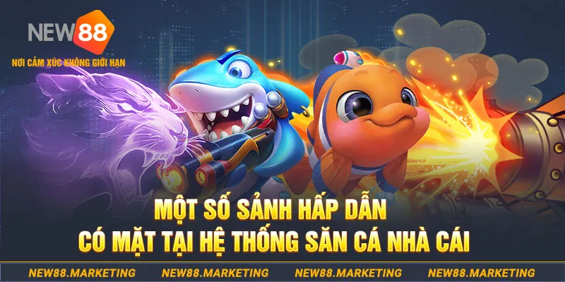 kuwin2 đăng nhập sòng bạc 2025