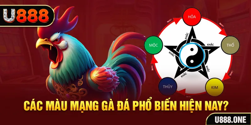 kuwin2 đăng nhập mậu binh
