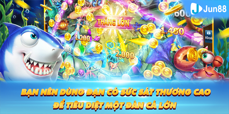 kuwin2 Tung Đồng Xu
