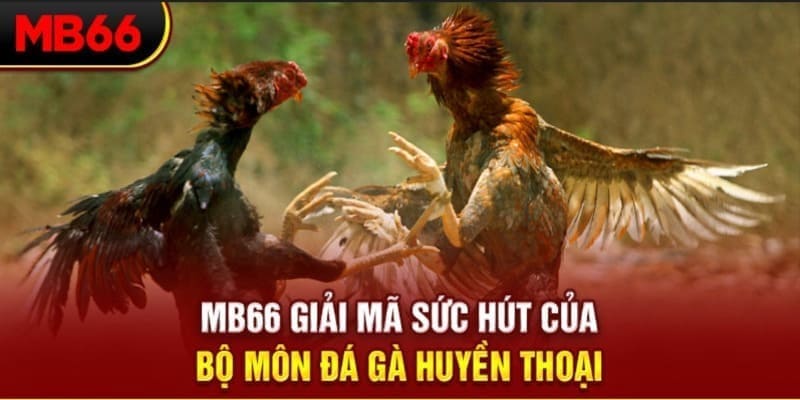 kuwin2 Phi Đội Ưu Tú