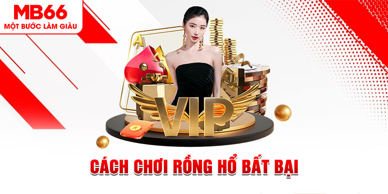 kuwin2 gà chọi cậu thanh