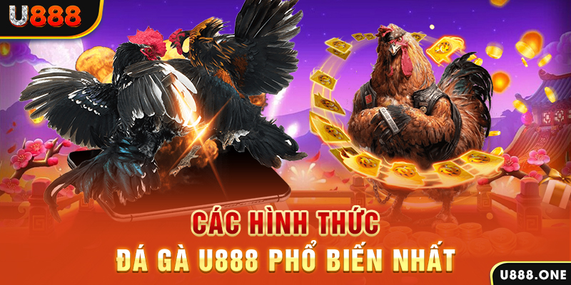 kuwin2 DB Trực Tuyến