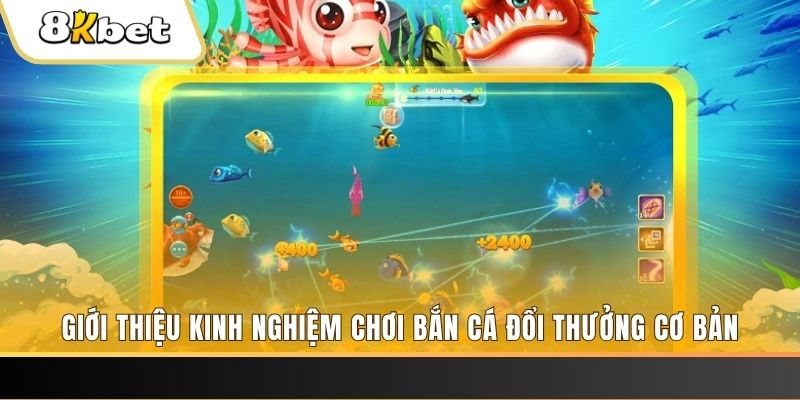 kuwin2 xổ số miền bắc thứ năm hàng tuần