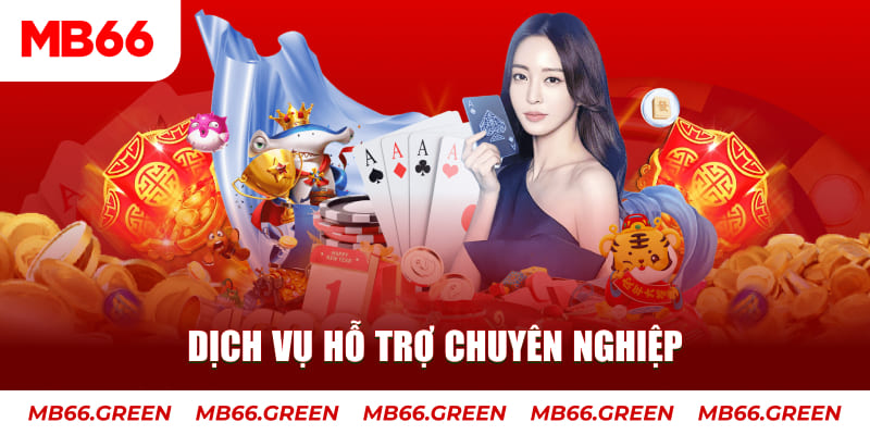 kuwin2 AOG Đá Gà
