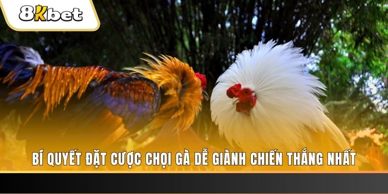kuwin2 Tài Xỉu 2