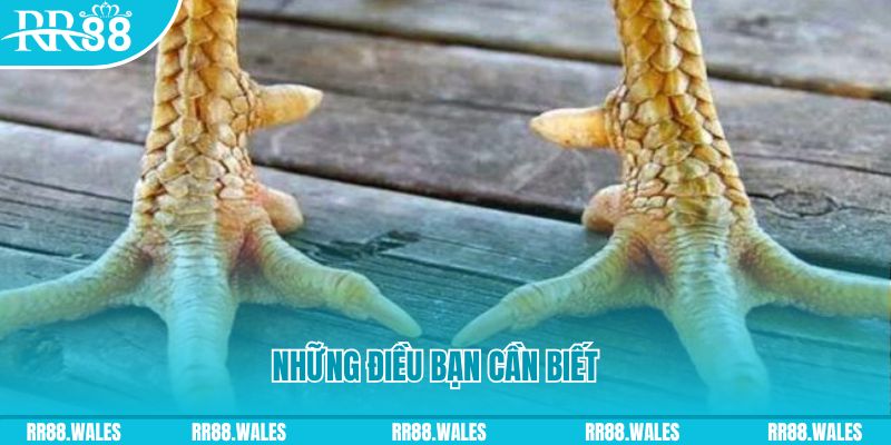 kuwin2 đăng nhập liêng hàng đầu