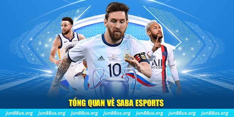 kuwin2 gà chọi c1 tv trực tiếp hôm nay