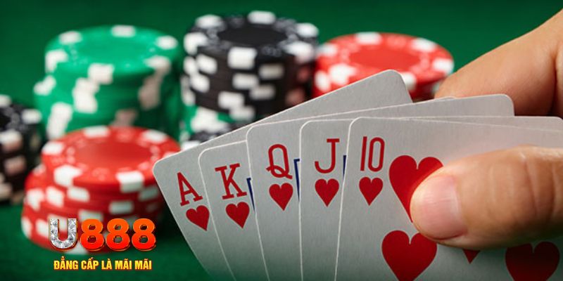 kuwin2 trực tiếp đá gà